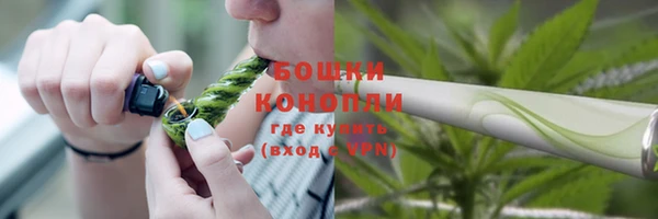 крисы Аркадак