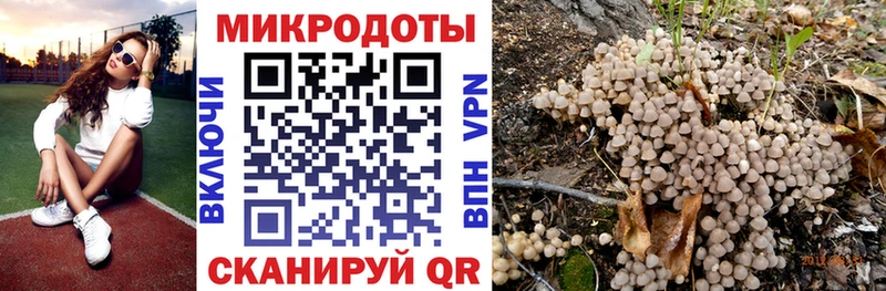 Псилоцибиновые грибы Cubensis Купить где Большой Камень
