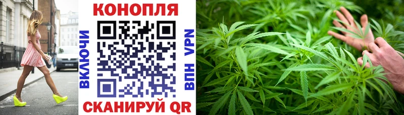 Купить где  Большой Камень  МАРИХУАНА OG Kush 